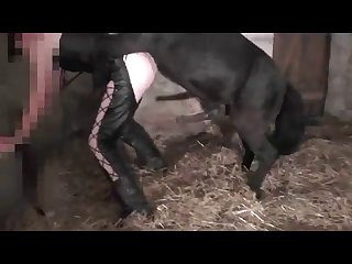 Zoophilia Porn Animations
