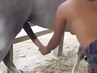 Guy Zoophilia Porn