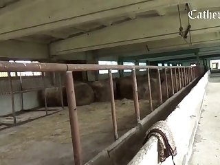 Zoophilia Porn Captions