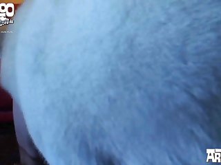 Zoophilia Porn 2022