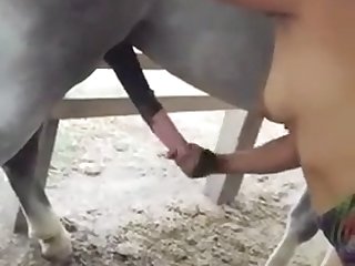 Zoophilia Porn Extreme