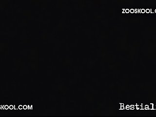 Ebony Zoo Sex