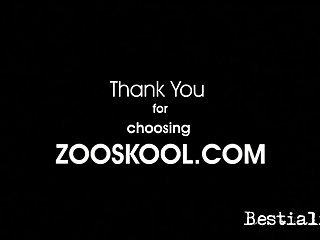 Young Real School Girl Zoo Sex Videos
