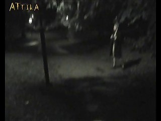 Zoofilia Porno Comic