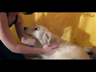 Xvideos Zoofilia Hd