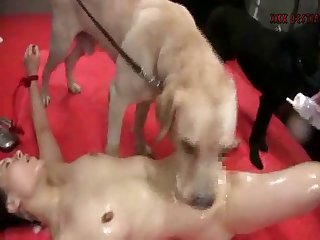 Dress Up Like Animal And Have Sex