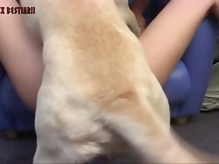 Animal And Women Sex Porn