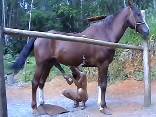Humand And Animal Sex