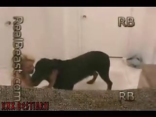 Denise Frazier Dog Porn