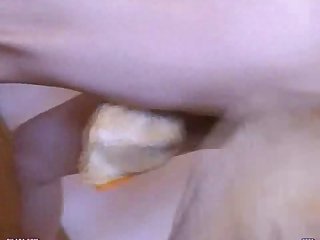 Zoofilia Caballo Xxx