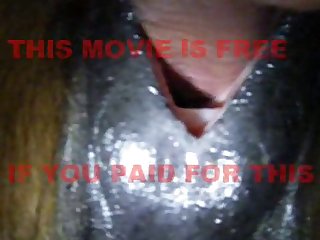 Horse Fucks Wife Porn