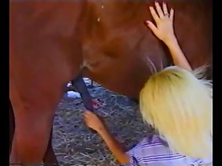 Horse Cums In Girls Pussy Porn